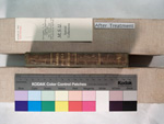 the spine of the book after repair